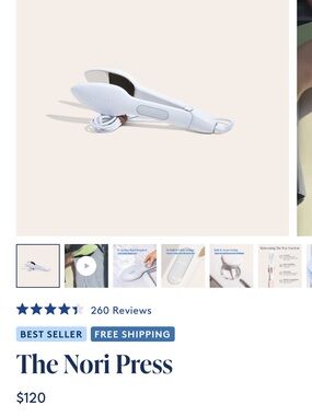 The Nori Press Handheld White Garment Steamer